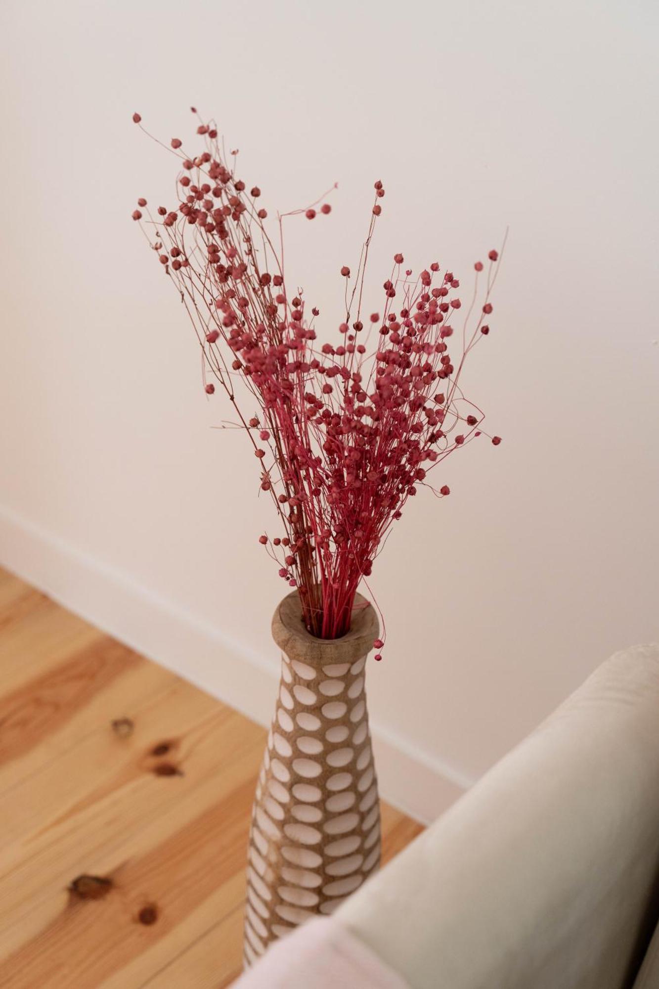 Cozy Bohemian Flat- Berry * Lisbon
